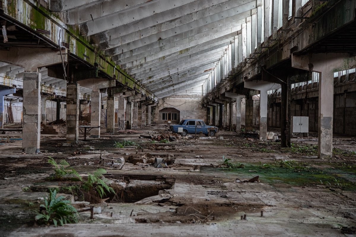 Амбассадор счастья tweet media