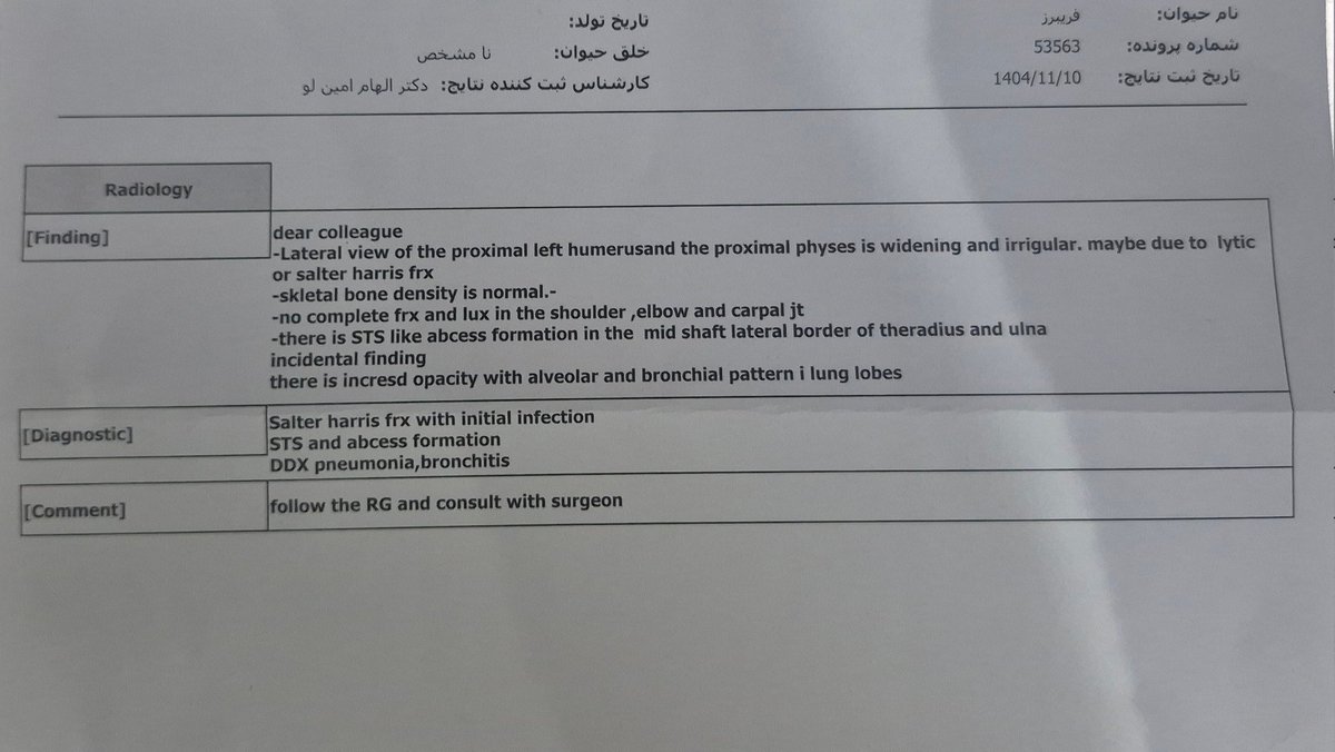 Nazanin (@nazaninkdyr) on Twitter photo 