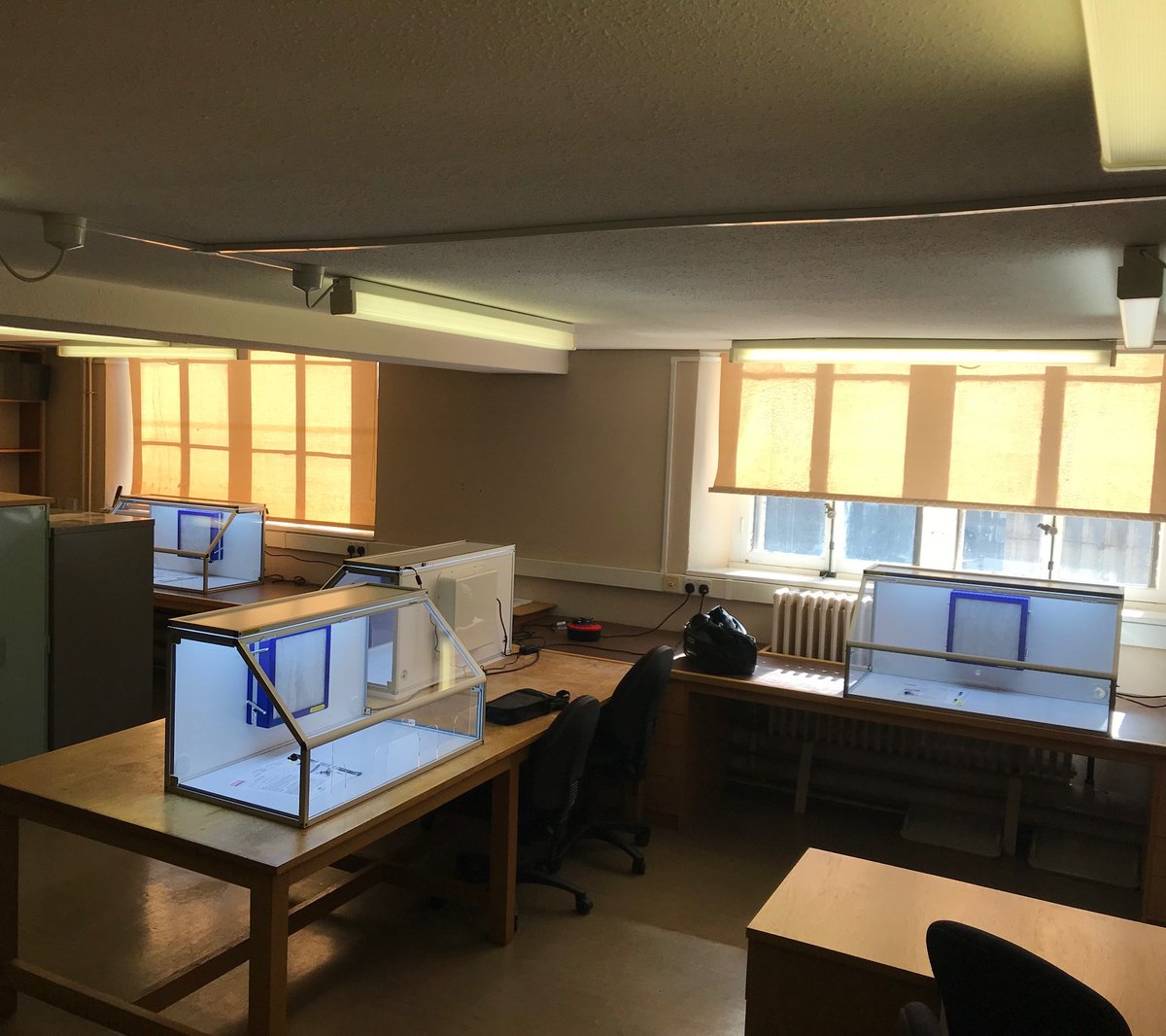 Waysafe by Solotec tweet media