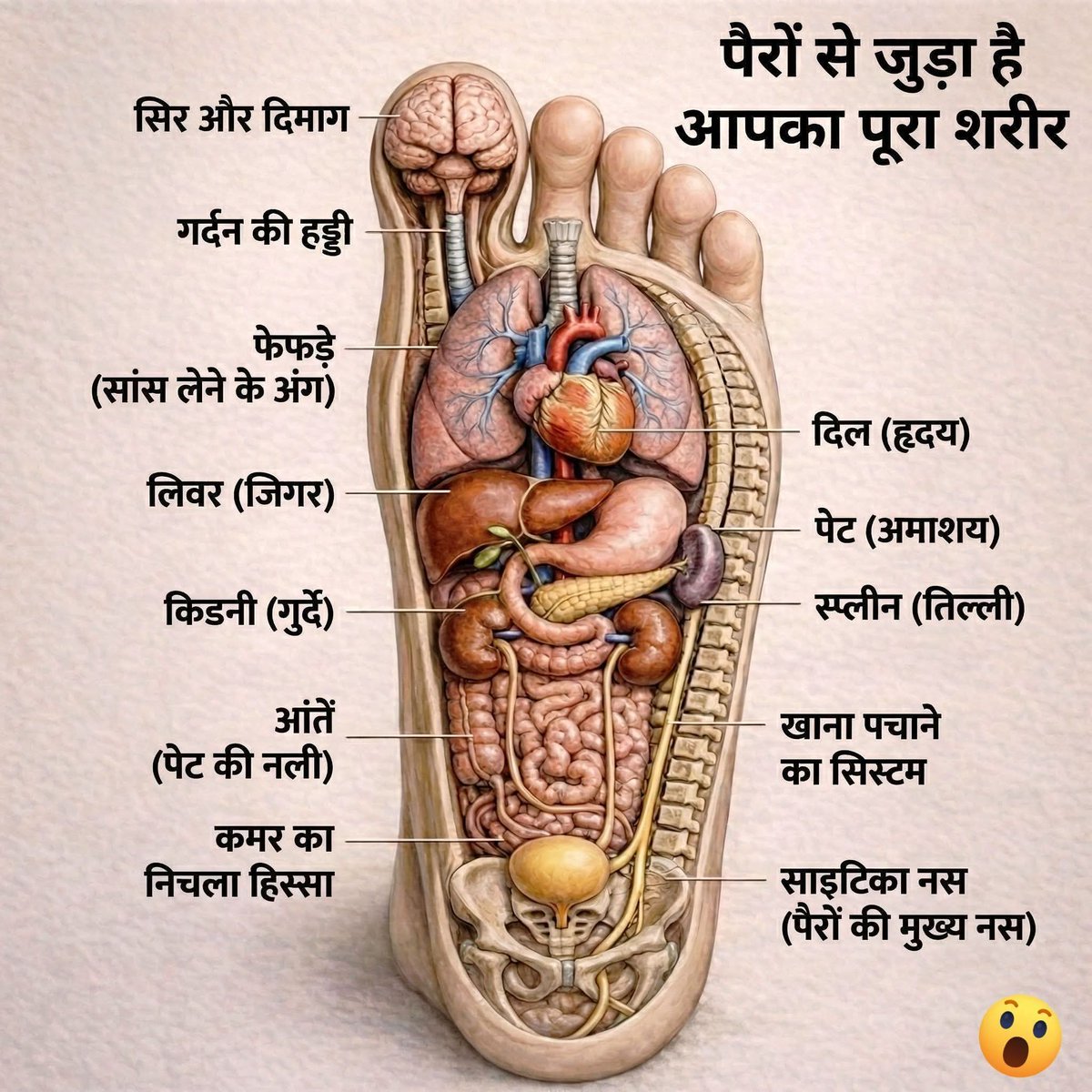 <a href="/MoniPareek4/">Moni Pareek</a>