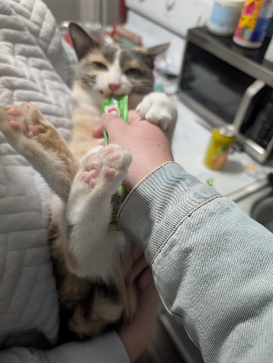 Dumpling, Jasper 🌈 tweet media