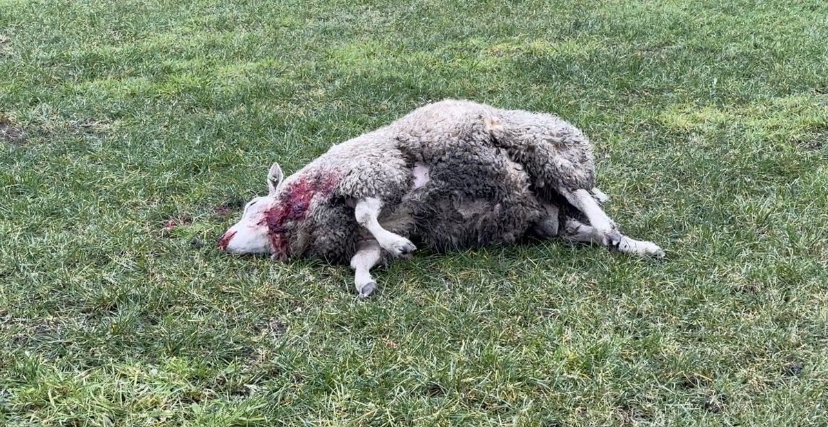 Erwin van Veldhuizen📸 tweet media