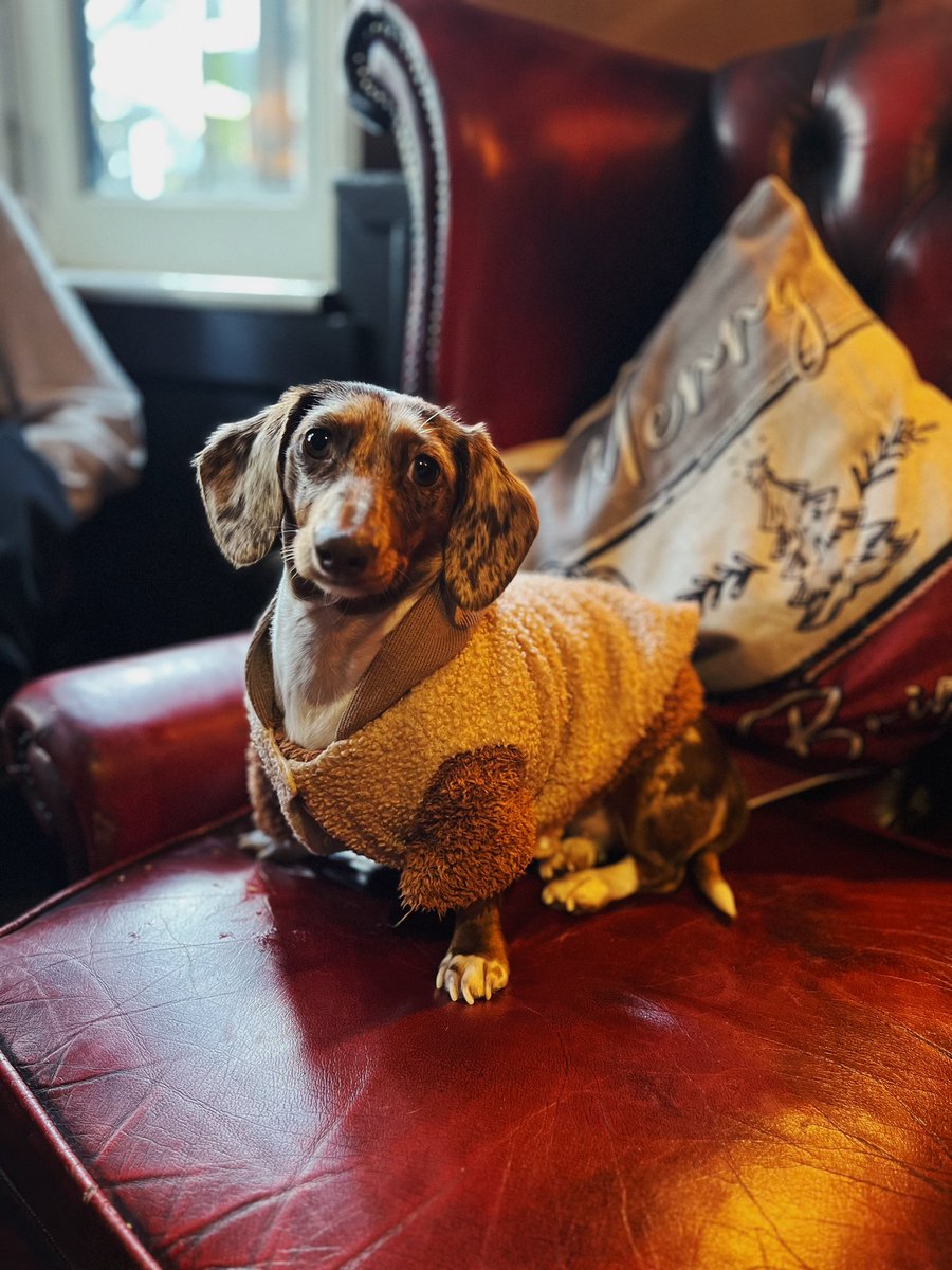 The Hand in Hand tweet media