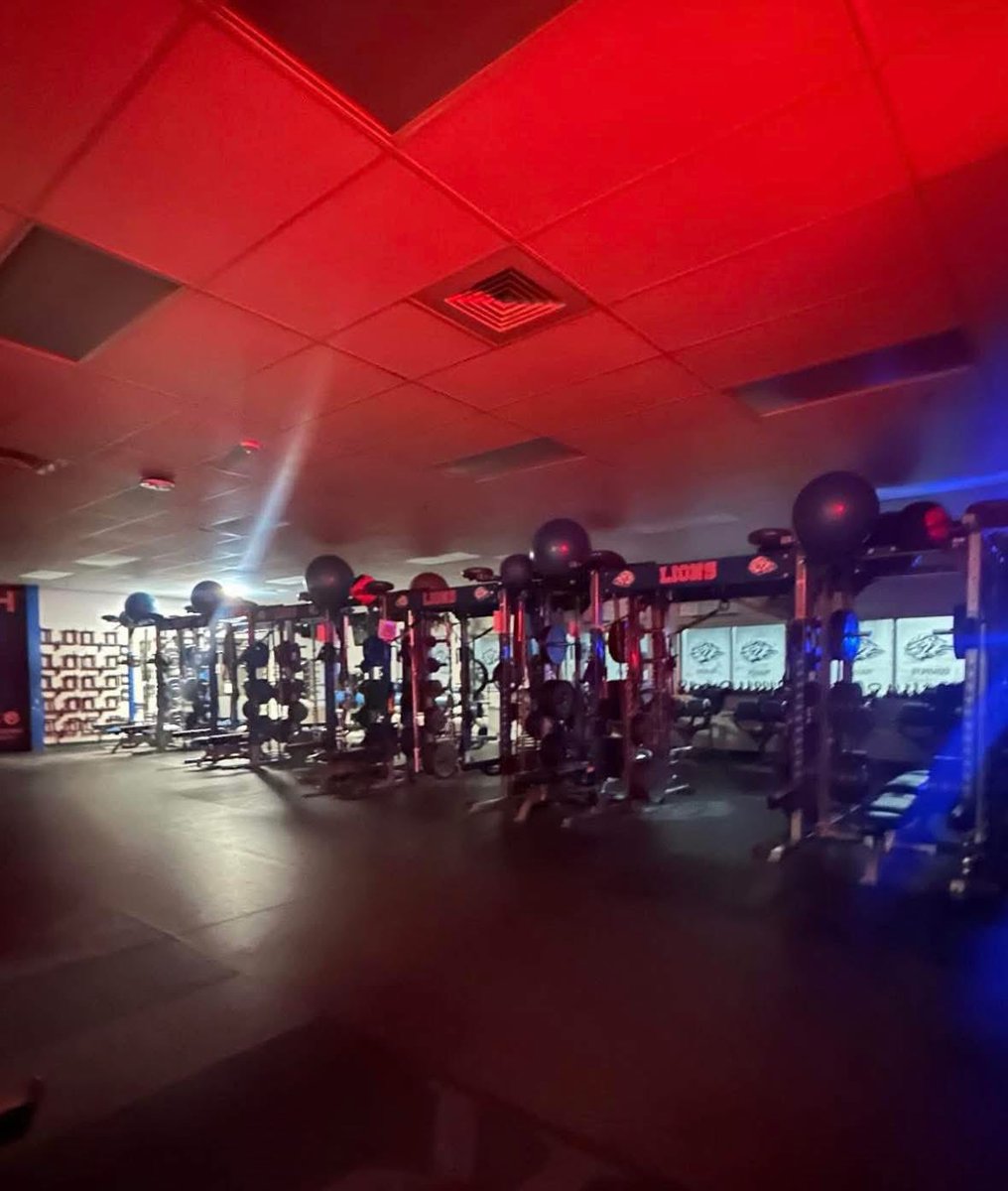 Arianna "Ari" Laster tweet media