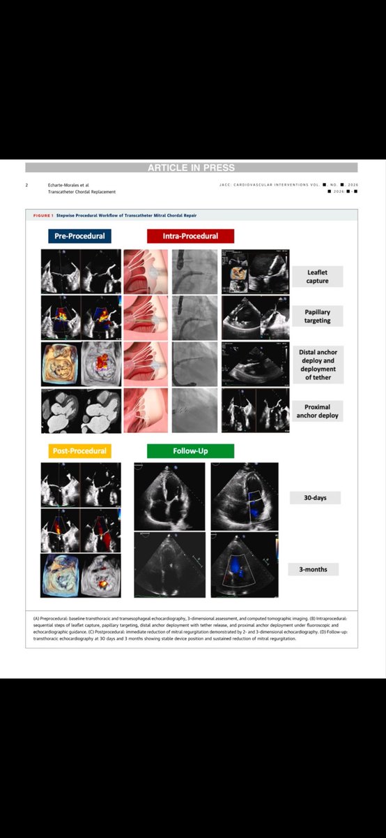 Julio Echarte tweet media