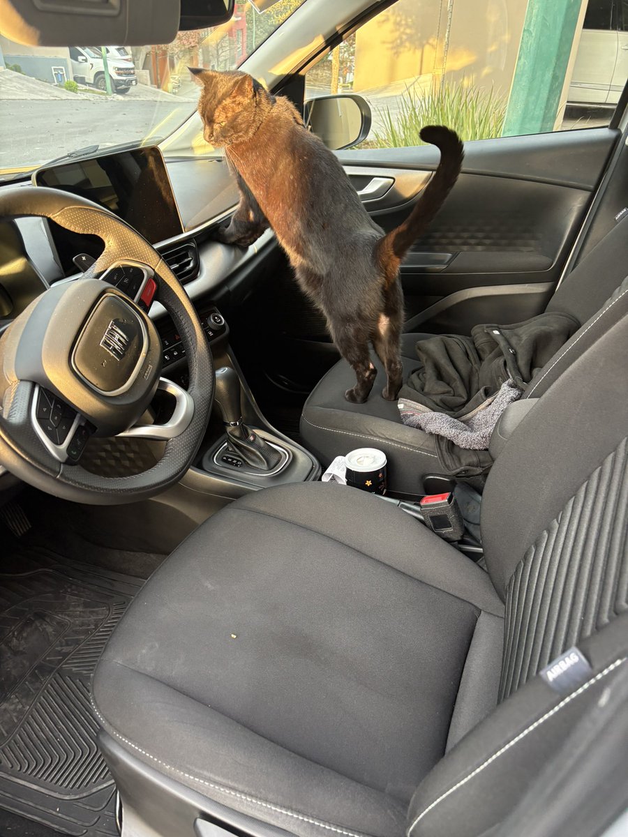 SmthingFunny tweet media