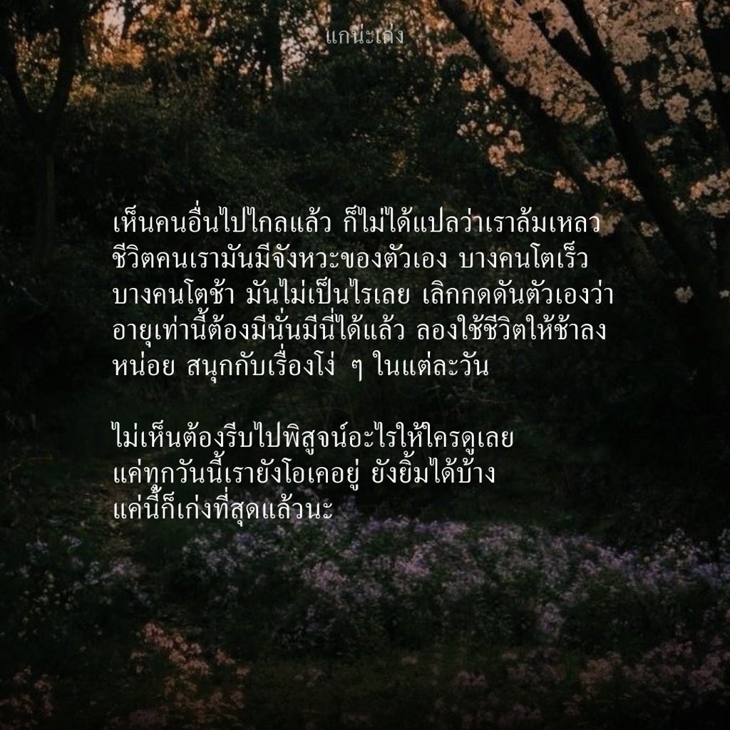 แกน่ะเก่ง tweet media