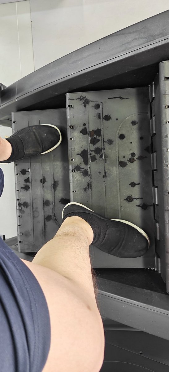 Bardbear tweet media