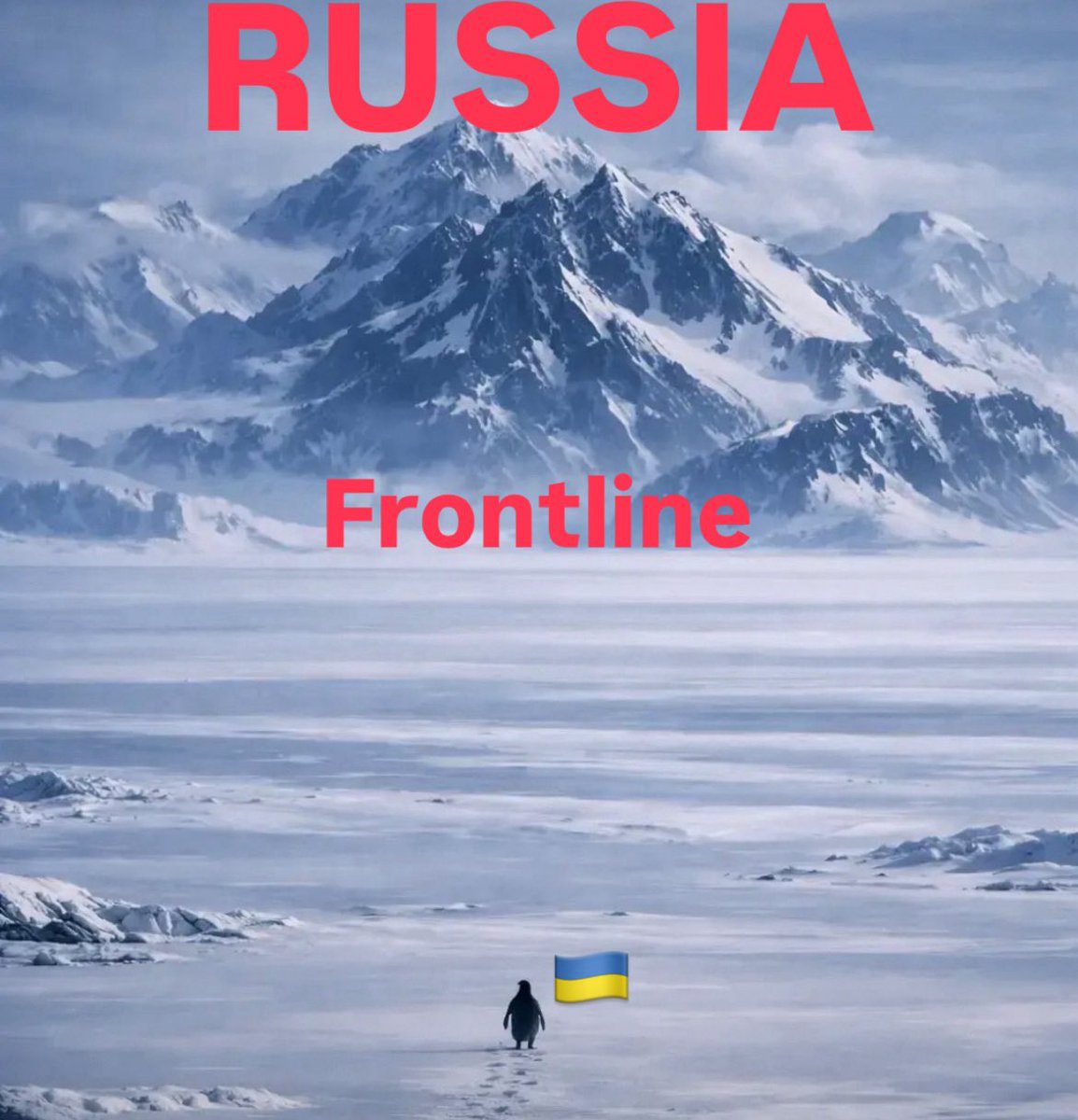 Doves Of Freedom tweet media