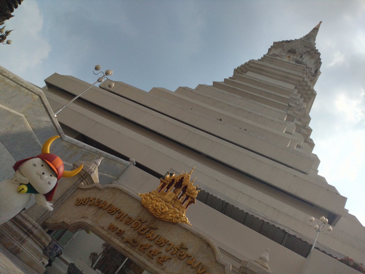 大きいでござる！！ #いいのすけ #ひこにゃん #拙者は小さいでござる