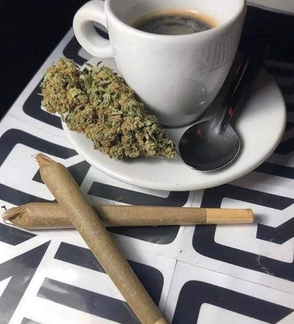 Dmitry Smirnov💱⚡️ tweet media