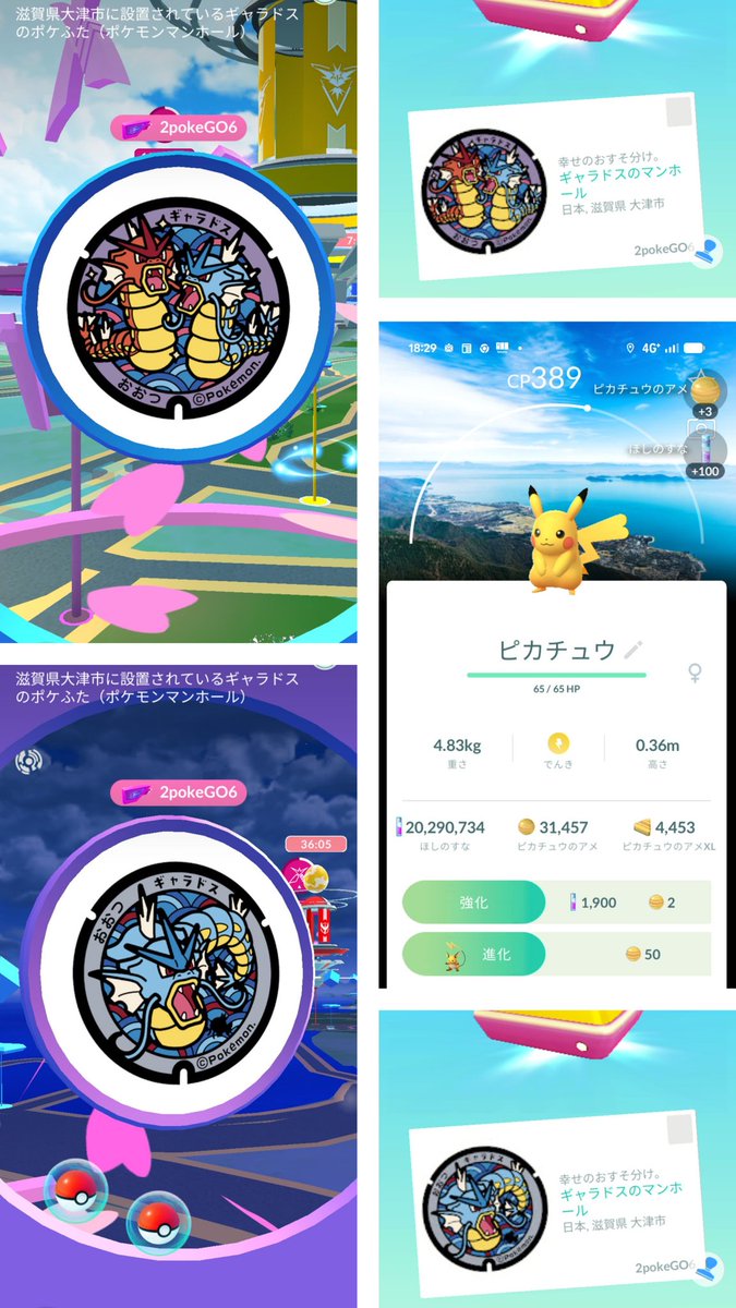 2poke🧸 tweet media