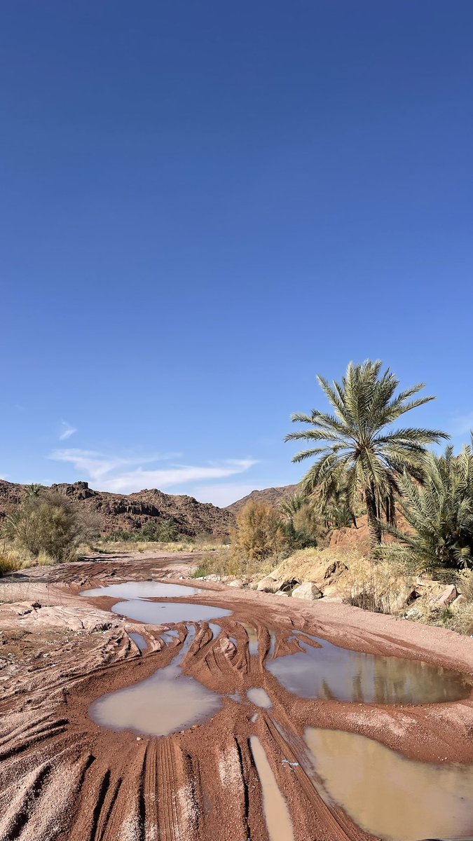 وديار سلمى عروس الشيح رويانة
والغيم عند الجبل..  يبراه ويحوفه

ما كِنّه ألا  ..  دخون ٍ ضجّ دخّانه 
في مبخرة شمّري  ٍ طيّب ضيوفه