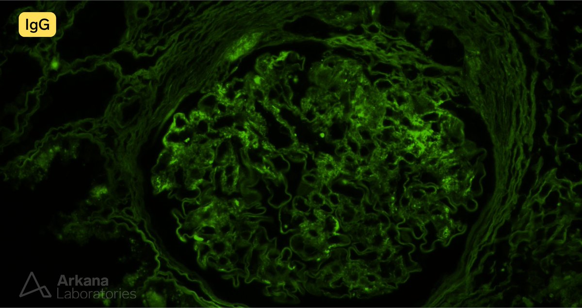 Arkana Laboratories tweet media