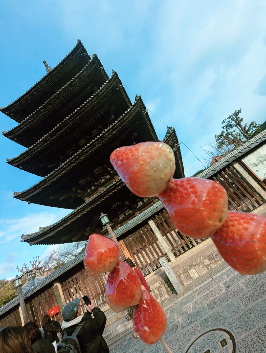 ぷりさんと京都で遊んできた〜！！死ぬほど食った！！！😌✨手毬寿司とつゆしゃぶめちゃくちゃうまかった……🫶