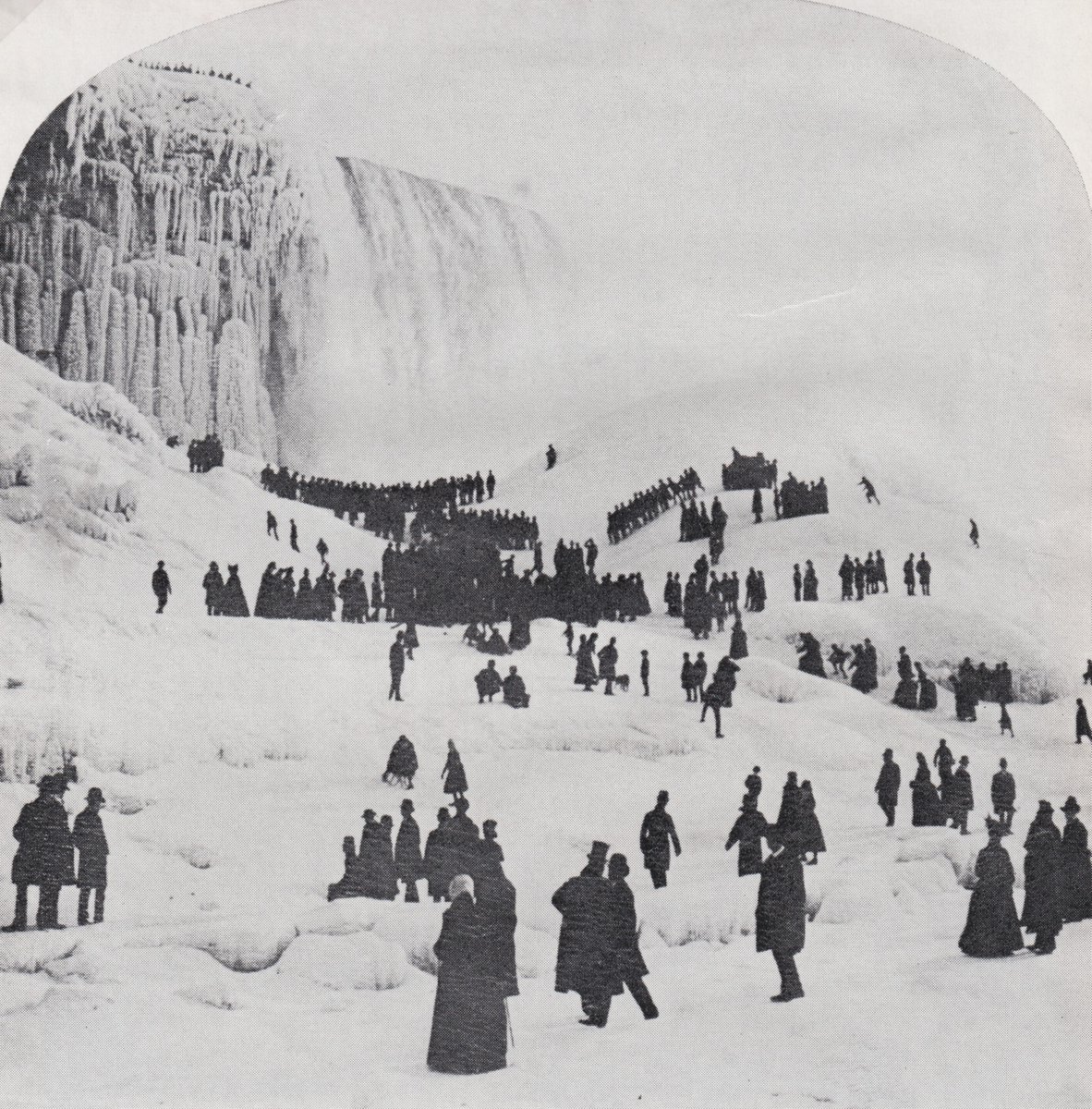 Welland Public Library tweet media