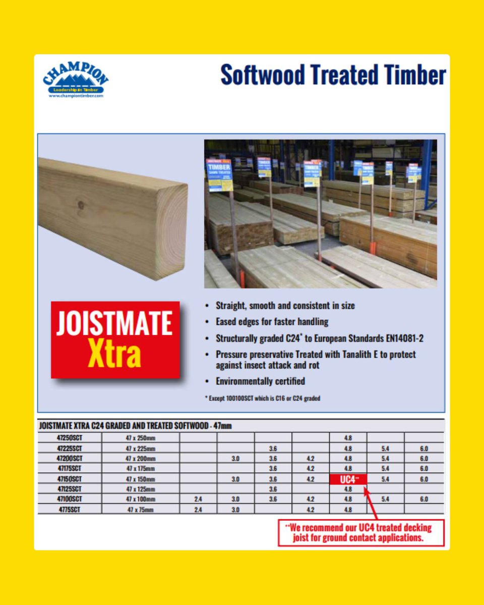 Champion Timber 🏆🌲 tweet media