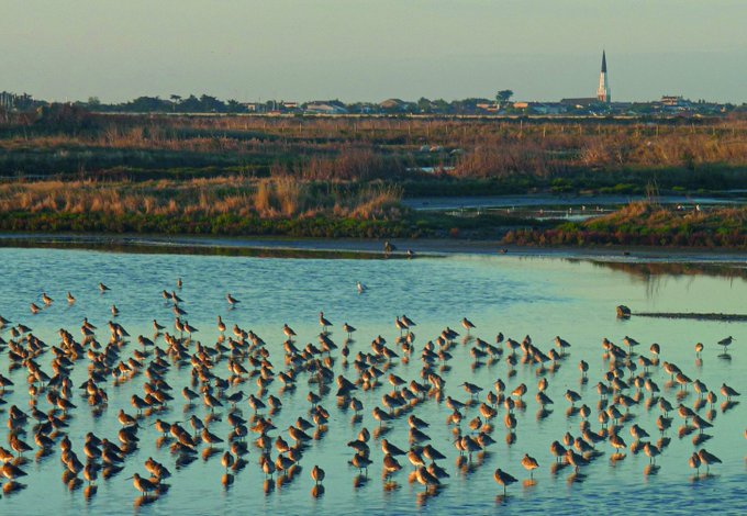 Image de l'actu de Département de la Charente-Maritime