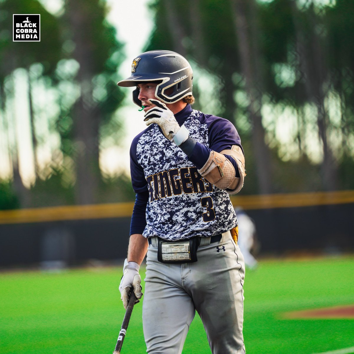 BLACK COBRA MEDIA tweet media