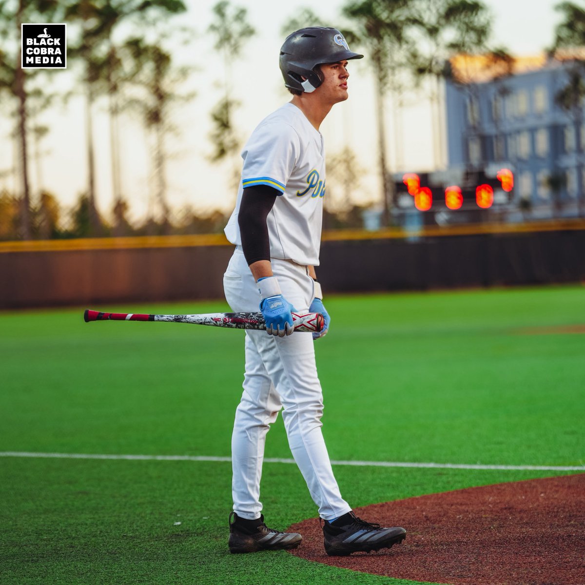 BLACK COBRA MEDIA tweet media