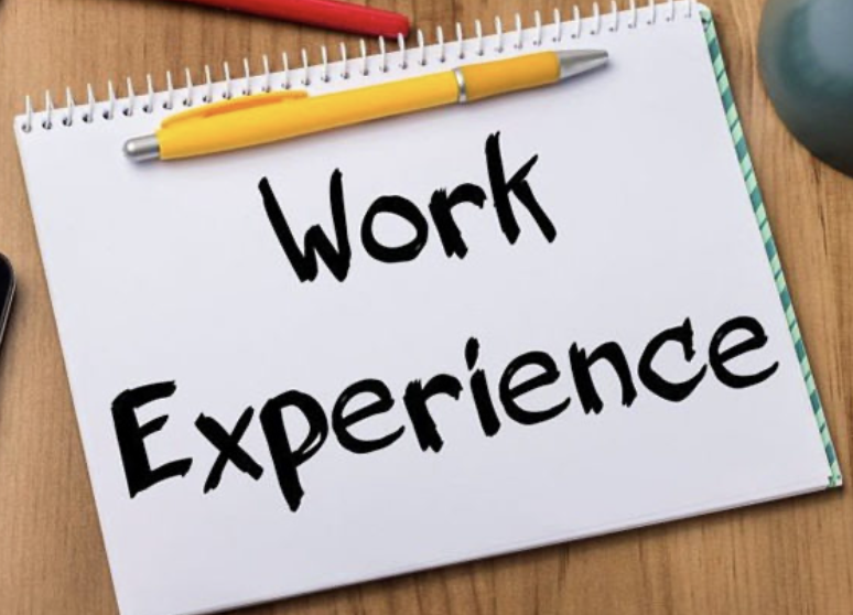 Moyle Park Transition Year tweet media