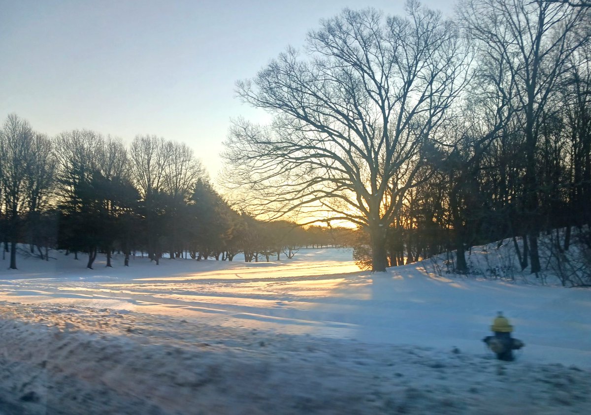 WriteHandMan's tweet image. It's a beautiful Franklin Park morning in #Dorchester but it could well be #Siberia . Biting. Not for the faint of heart and mind. 🥶 
@BillForry @FranklinParkBos @zoonewengland @BostonParksDept @GreaterMNC @marialyonsdot