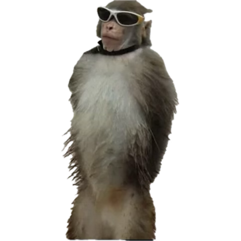 dibs ʚ♡⃛ɞ tweet media