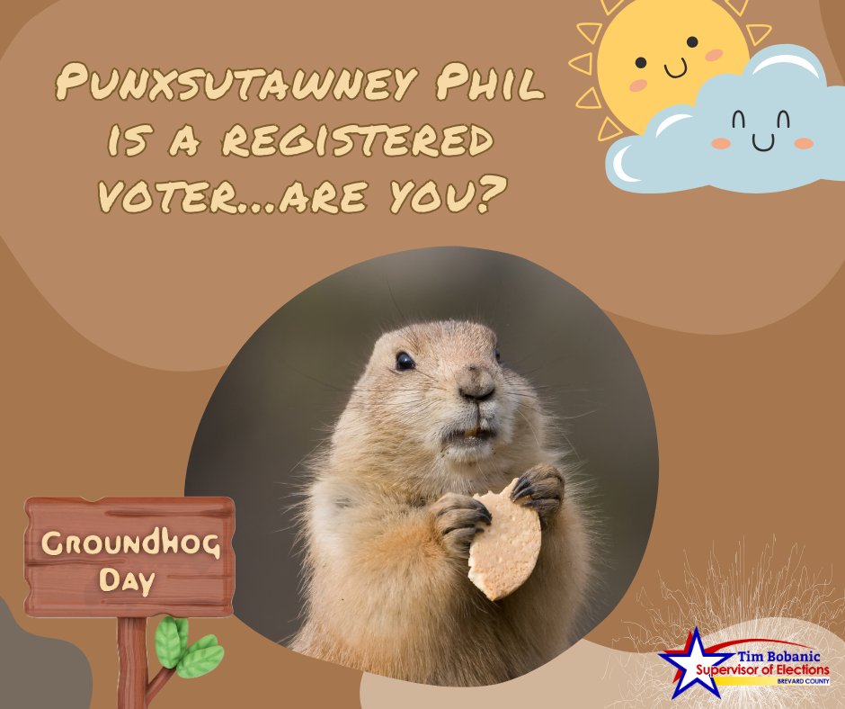 Tim Bobanic, Supervisor of Elections (@votebrevard) on Twitter photo 