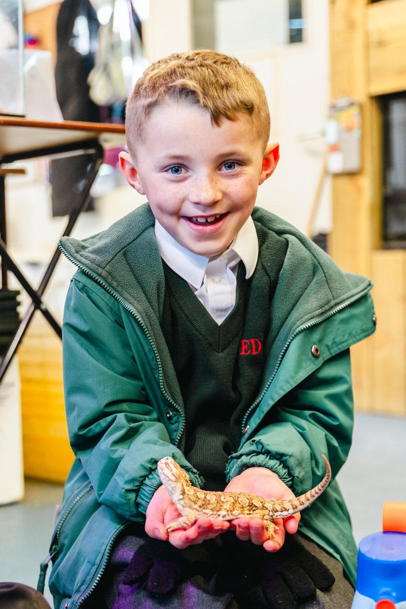 bedesprep's tweet image. Year 2 had a fantastic morning at the Senior School zoo this week!

Having studied herbivores, carnivores and omnivores in their recent Science lessons, they impressed the zookeepers with their knowledge and observations!

They met lemurs, squirrel monkeys and Drew the binturong!