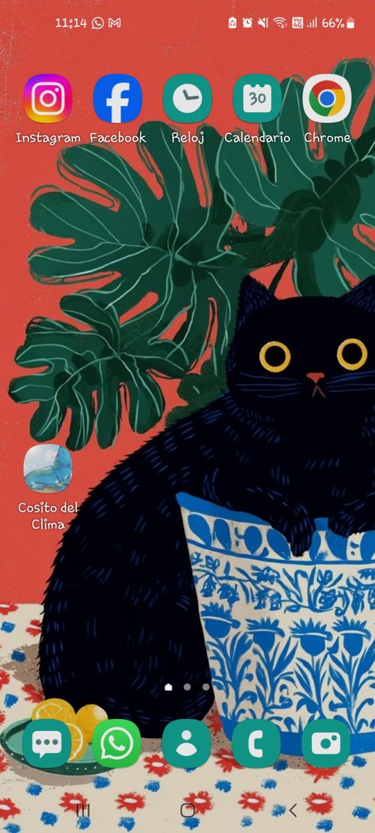 Flor 🇦🇷 tweet media