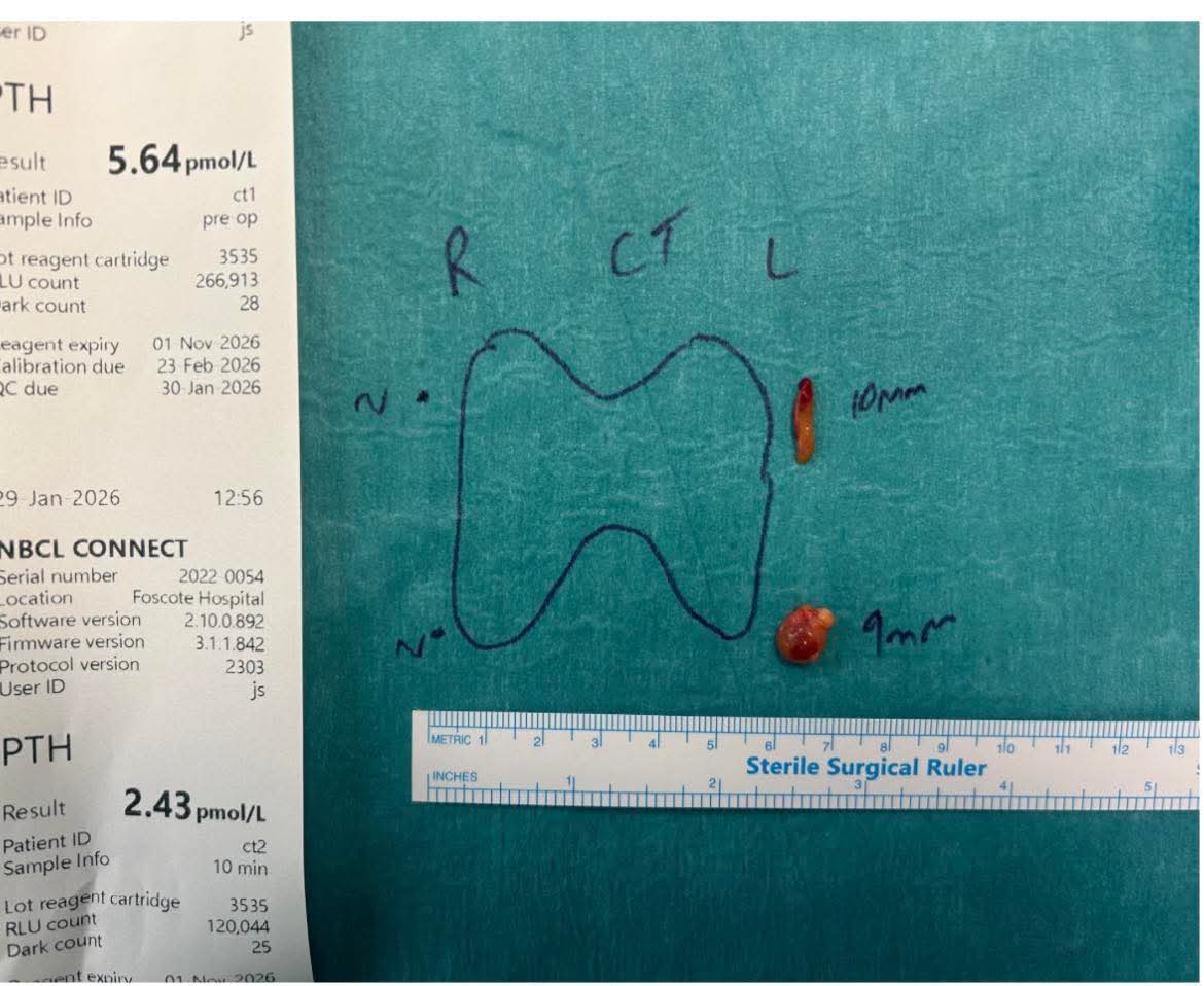Sallie Powell tweet media