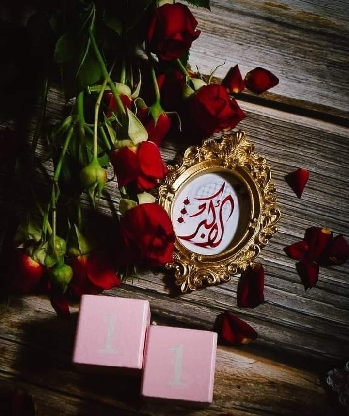 Fatima Zahra tweet media