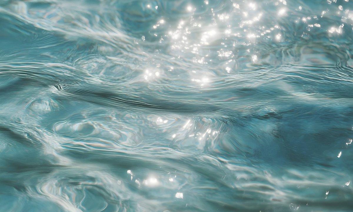 gardenofcolours's tweet image. 