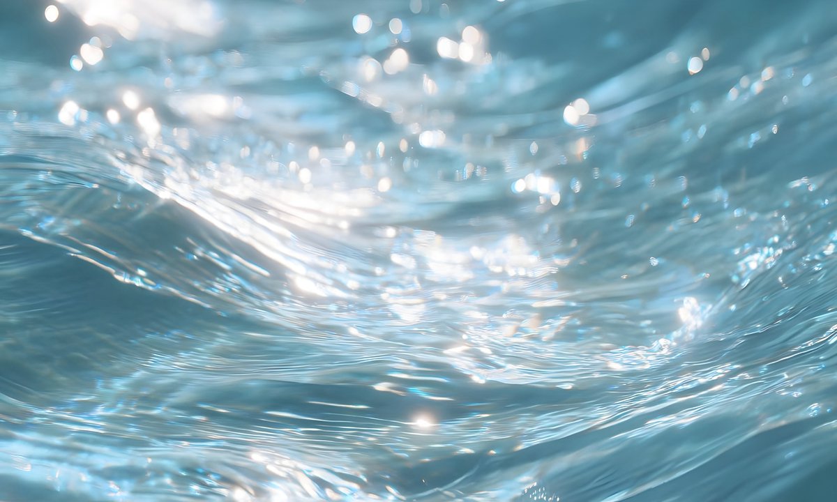 gardenofcolours's tweet image. 