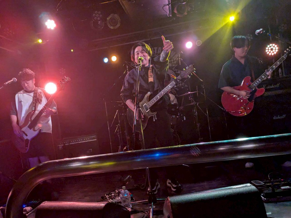 Wolf in Car tweet media