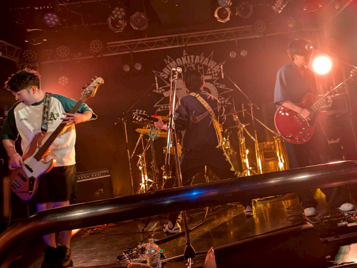 Wolf in Car tweet media