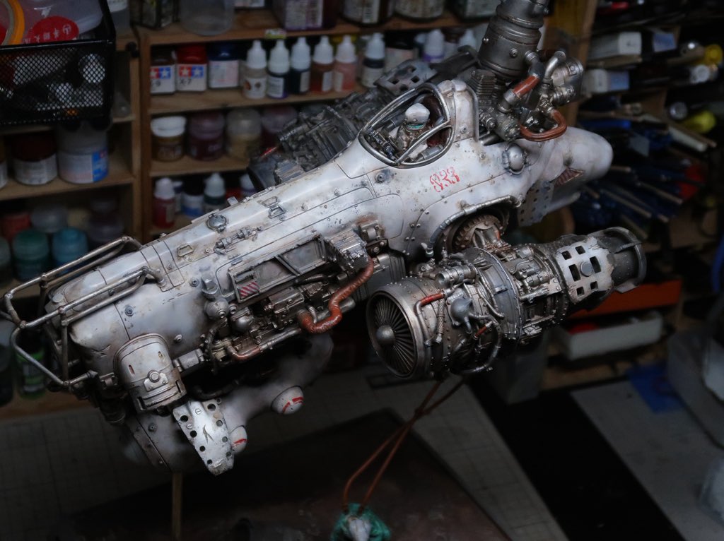 猫头33 5-18-11 WF2025w (@maotou33) on Twitter photo 