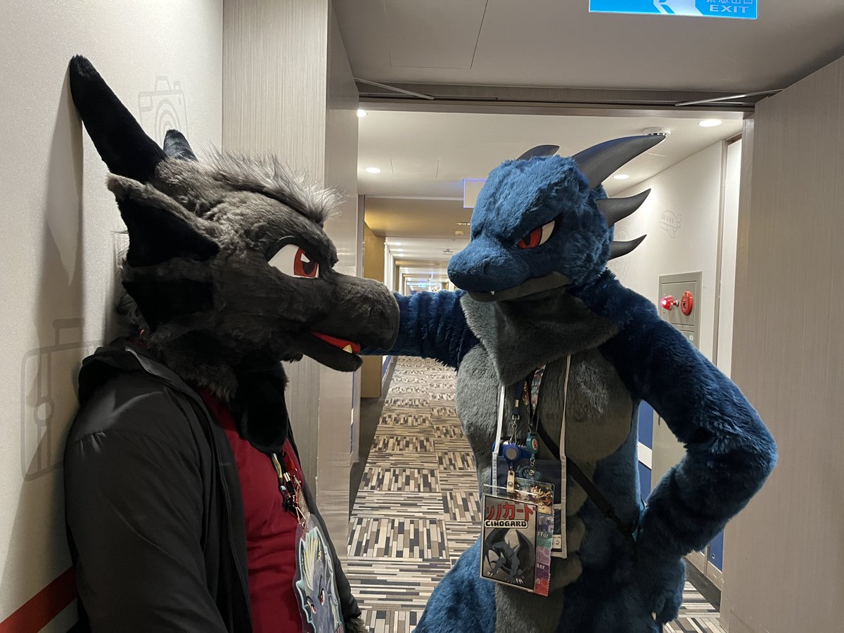 Cinogard / シノガード tweet media