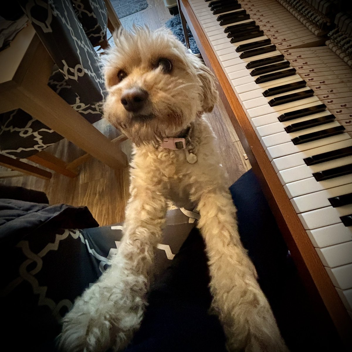 Today’s lil helper