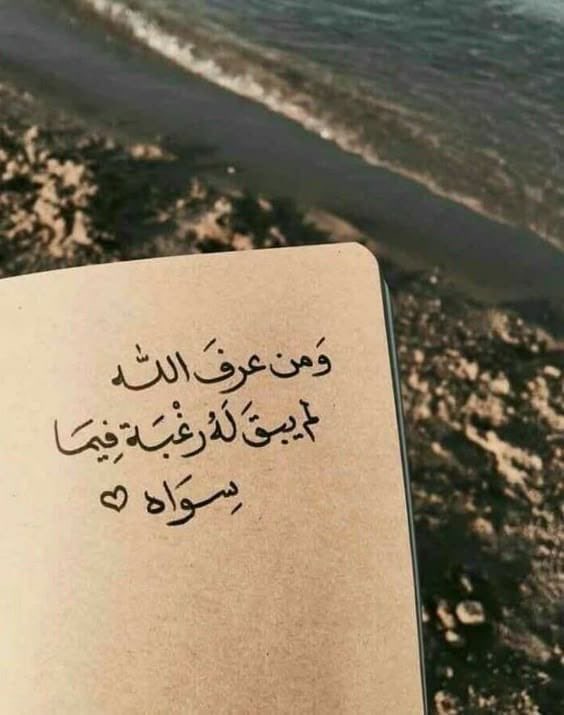 شموخ سعودية💜❤️ (@k_h09p) on Twitter photo 