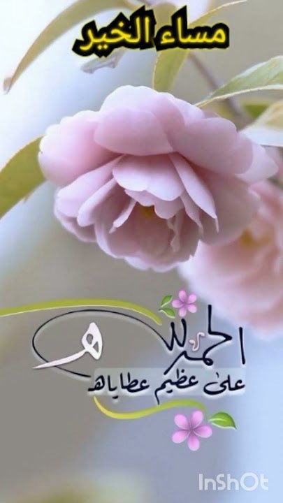 شموخ سعودية💜❤️ (@k_h09p) on Twitter photo 