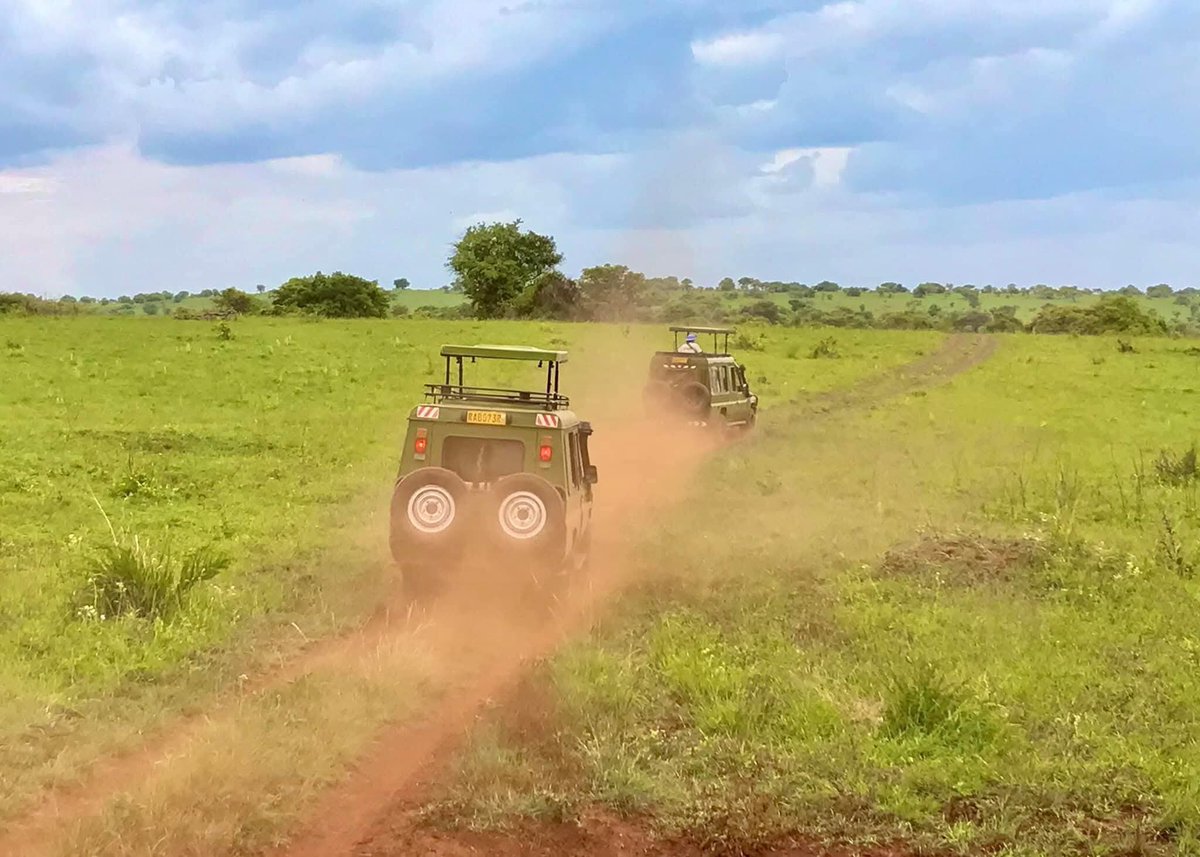 SahihiT's tweet image. Book a day trip safari to #akageranationalpark with us 2 see the #big5 &amp;amp; enjoy a fabulous #Encounter. #SahihiAfricaTours

📩sahihiafricatours@gmail.com 
sahihiafricatours.com

#Trek #Africa #Kigali #Traveller #ValentinesDay #ExploreMore #FriendshipGoals #VisitRwanda #TravelTips