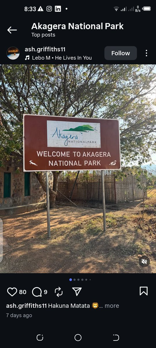 SahihiT's tweet image. Book a day trip safari to #akageranationalpark with us 2 see the #big5 &amp;amp; enjoy a fabulous #Encounter. #SahihiAfricaTours

📩sahihiafricatours@gmail.com 
sahihiafricatours.com

#Trek #Africa #Kigali #Traveller #ValentinesDay #ExploreMore #FriendshipGoals #VisitRwanda #TravelTips