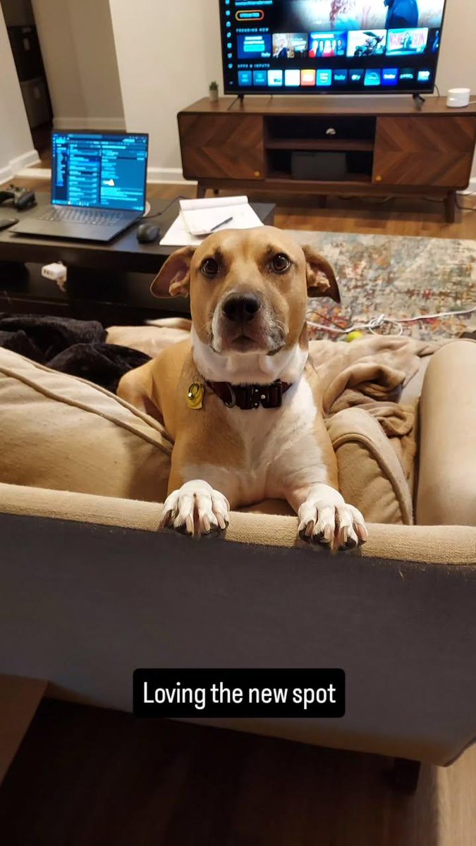 Jonathon Ray tweet media