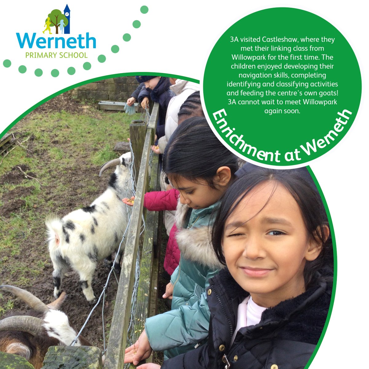 Werneth Primary tweet media