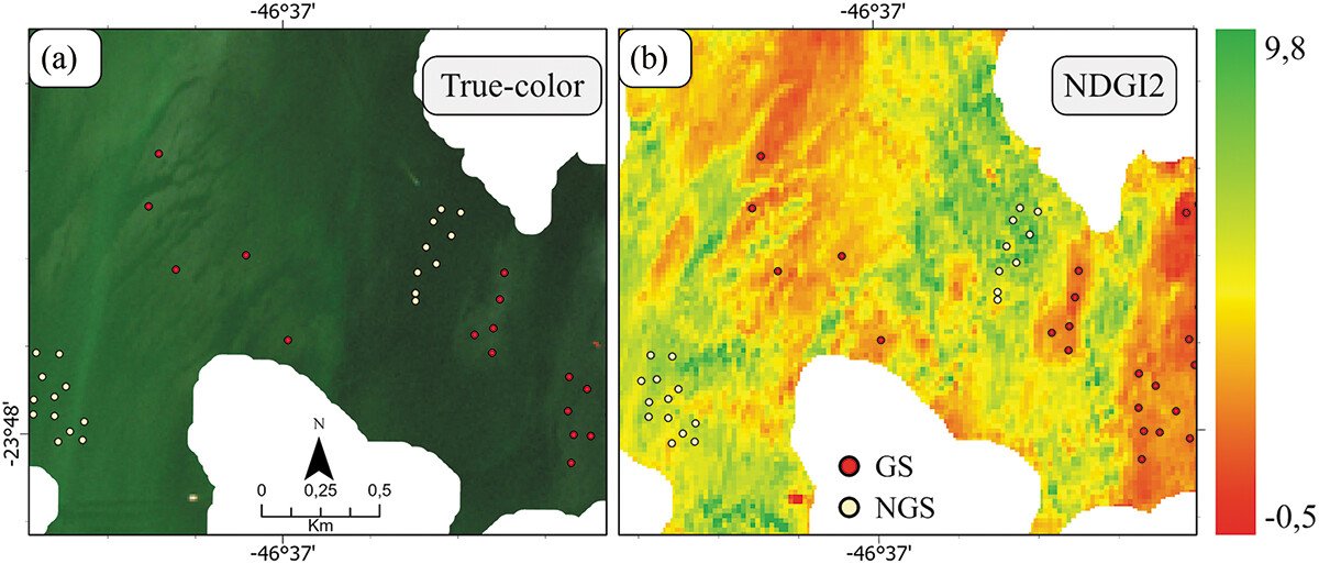 OBT INPE tweet media