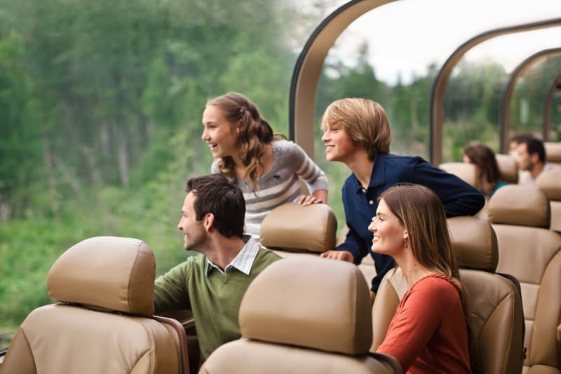 tweetenvision's tweet image. 🚂🌲 Create unforgettable memories with your family on an Alaska Cruisetour aboard the Wilderness Express! It's the perfect adventure for families looking to bond and explore the great outdoors! 🏞️✨
Contact me today to book your Alaska cruisetour and start making memories! 📞✈️