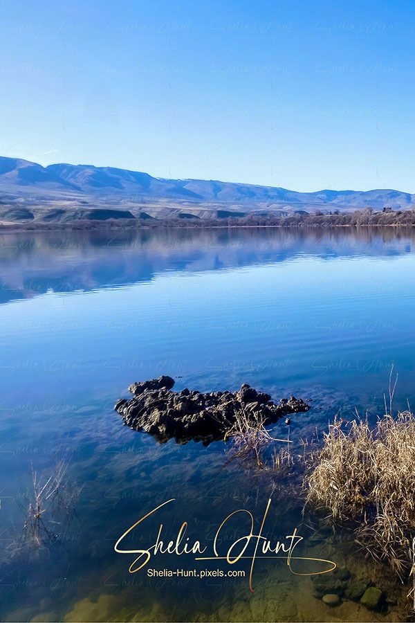 Shelia Hunt tweet media