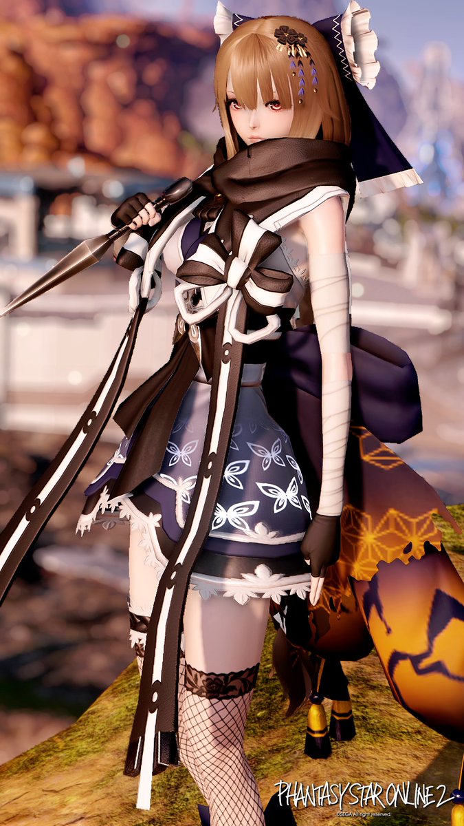 #PSO2NGS_SS
"リボンケープ/B[Ou]+N-ヨシノテフラ/B[Ba]"
おはよう御座います☀