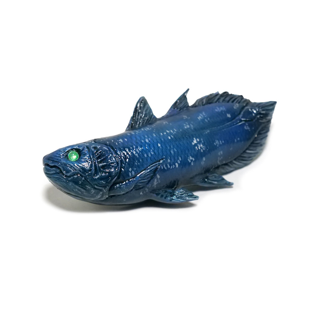 シーラカンス のブローチ✨